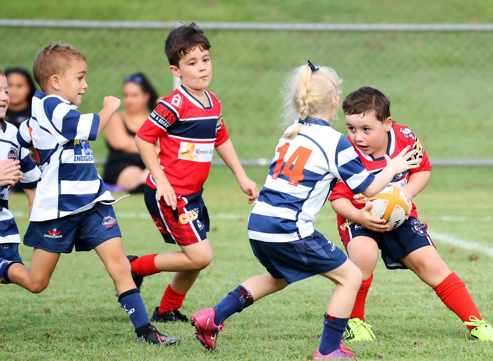 2022-23 Under 6 Grand Final